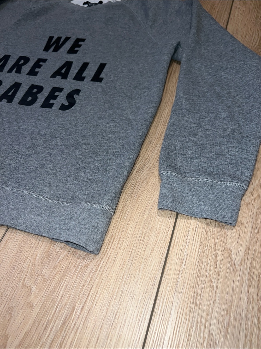 Brunette The Label Gray 'We Are All Babes' Crewneck Sweatshirt - Picture 4 of 9